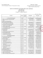 Báo cáo tài chính hợp nhất quý 1 năm 2015 - Công ty Cổ phần Nam Việt