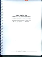 Báo cáo tài chính năm 2015 (đã kiểm toán) - Công ty Cổ phần Xuất nhập khẩu Hàng không