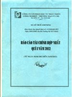 Báo cáo tài chính hợp nhất quý 1 năm 2012 - Công ty Cổ phần Đầu tư Phát triển Công nghiệp - Thương mại Củ Chi