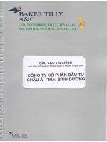 Báo cáo tài chính công ty mẹ năm 2014 (đã kiểm toán) - Công ty Cổ phần Đầu tư Châu Á - Thái Bình Dương
