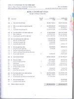 Báo cáo tài chính năm 2012 - Công ty cổ phần Đầu tư tài chính BIDV