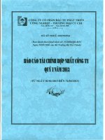Báo cáo tài chính hợp nhất quý 1 năm 2013 - Công ty Cổ phần Đầu tư Phát triển Công nghiệp - Thương mại Củ Chi