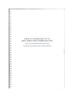 Báo cáo tài chính năm 2013 (đã kiểm toán) - Công ty cổ phần Đầu tư và Phát triển Công nghiệp Bảo Thư