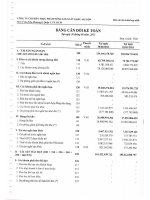 Báo cáo tài chính hợp nhất quý 2 năm 2013 - Công ty cổ phần Thực phẩm Nông sản Xuất khẩu Sài Gòn