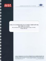 Báo cáo tài chính năm 2012 (đã kiểm toán) - Công ty cổ phần Đầu tư và Phát triển Đô thị Dầu khí Cửu Long