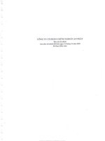 Báo cáo tài chính năm 2009 (đã kiểm toán) - Công ty Cổ phần Chứng khoán An Phát