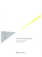 Báo cáo tài chính quý 2 năm 2012 (đã soát xét) - Công ty Cổ phần Xi măng Bỉm Sơn