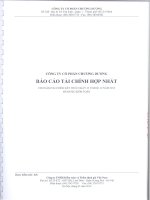 Báo cáo tài chính hợp nhất năm 2013 (đã kiểm toán) - Công ty Cổ phần Chương Dương