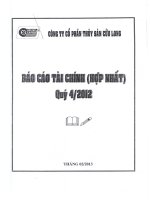 Báo cáo tài chính hợp nhất quý 4 năm 2012 - Công ty Cổ phần Thủy Sản Cửu Long