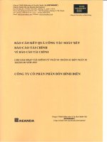Báo cáo tài chính công ty mẹ quý 2 năm 2015 (đã soát xét) - Công ty cổ phần Phân bón Bình Điền