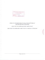 Báo cáo tài chính công ty mẹ năm 2010 (đã kiểm toán) - Công ty cổ phần Đầu tư Hạ tầng Kỹ thuật T.P Hồ Chí Minh