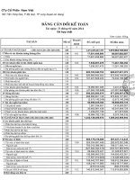 Báo cáo tài chính hợp nhất quý 1 năm 2014 - Công ty Cổ phần Nam Việt