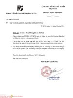 Báo cáo tài chính hợp nhất quý 2 năm 2014 - Công ty Cổ phần Văn hóa Tân Bình