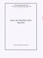 Báo cáo thường niên năm 2013 - Công ty cổ phần Bông Việt Nam