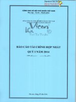 Báo cáo tài chính hợp nhất quý 1 năm 2014 - Công ty Cổ phần Xi măng Bỉm Sơn