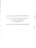 Báo cáo tài chính quý 2 năm 2011 (đã soát xét) - Công ty cổ phần Xi măng Vicem Bút Sơn