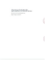 Báo cáo tài chính hợp nhất năm 2013 (đã kiểm toán) - Tổng Công ty Cổ phần Bảo hiểm Ngân hàng Đầu tư và phát triển Việt Nam