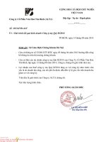 Báo cáo tài chính công ty mẹ quý 2 năm 2014 - Công ty Cổ phần Văn hóa Tân Bình