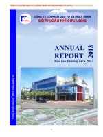 Báo cáo thường niên năm 2012 - Công ty cổ phần Đầu tư và Phát triển Đô thị Dầu khí Cửu Long