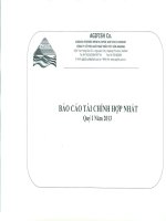 Báo cáo tài chính hợp nhất quý 1 năm 2013 - Công ty Cổ phần Xuất nhập khẩu Thủy sản An Giang