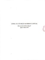 Báo cáo tài chính công ty mẹ quý 4 năm 2015 - Công ty cổ phần Bamboo Capital