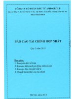 Báo cáo tài chính hợp nhất quý 3 năm 2015 - Công ty cổ phần Đầu tư AMD Group