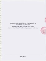 Báo cáo tài chính công ty mẹ năm 2011 (đã kiểm toán) - Công ty cổ phần Đầu tư Hạ tầng Kỹ thuật T.P Hồ Chí Minh