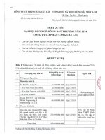 Nghị quyết Đại hội cổ đông bất thường - Công ty cổ phần Cảng Cát Lái