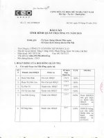 Báo cáo tình hình quản trị công ty - Công ty Cổ phần Tập đoàn C.E.O