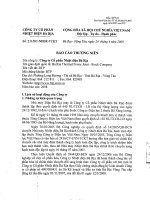 Báo cáo thường niên năm 2008 - Công ty Cổ phần Nhiệt điện Bà Rịa