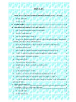 Bản cáo bạch - Công ty Cổ phần Văn hóa Tân Bình