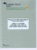Báo cáo tài chính công ty mẹ quý 2 năm 2014 (đã soát xét) - Công ty Cổ phần Chế biến và Xuất nhập khẩu Thuỷ sản Cà Mau