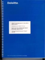 Báo cáo tài chính năm 2009 (đã kiểm toán) - Công ty Cổ phần Đầu tư Xây dựng Bình Chánh