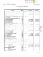 Báo cáo tài chính quý 2 năm 2013 - Công ty Cổ phần Xây dựng và Đầu tư 492