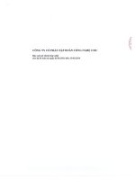 Báo cáo tài chính hợp nhất quý 4 năm 2013 - Công ty Cổ phần Tập đoàn Công nghệ CMC