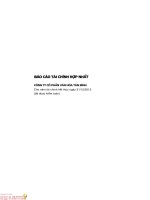 Báo cáo tài chính hợp nhất năm 2013 (đã kiểm toán) - Công ty Cổ phần Văn hóa Tân Bình