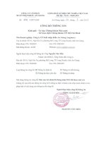 Báo cáo tài chính quý 2 năm 2013 (đã soát xét) - Công ty cổ phần Xuất nhập khẩu An Giang