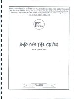 Báo cáo tài chính quý 1 năm 2012 - Công ty cổ phần Đầu tư và Phát triển Đô thị Dầu khí Cửu Long