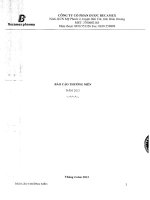 Báo cáo thường niên năm 2012 - Công ty cổ phần Dược Becamex