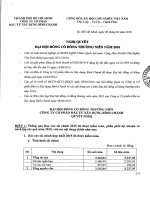 Nghị quyết Đại hội cổ đông thường niên - Công ty Cổ phần Đầu tư Xây dựng Bình Chánh