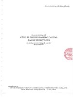 Báo cáo tài chính hợp nhất quý 2 năm 2015 (đã soát xét) - Công ty cổ phần Bamboo Capital