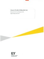 Báo cáo tài chính hợp nhất quý 2 năm 2015 (đã soát xét) - Công ty Cổ phần Xi măng Bỉm Sơn