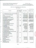 Báo cáo tài chính quý 1 năm 2013 - Công ty Cổ phần Chứng khoán Nông nghiệp và Phát triển Nông thôn