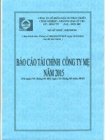 Báo cáo tài chính công ty mẹ quý 1 năm 2015 - Công ty Cổ phần Đầu tư Phát triển Công nghiệp - Thương mại Củ Chi