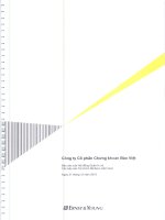 Báo cáo tài chính năm 2010 (đã kiểm toán) - Công ty Cổ phần Chứng khoán Bảo Việt