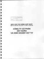 Báo cáo tài chính hợp nhất năm 2009 (đã kiểm toán) - Công ty Cổ phần Xây dựng và Kinh doanh Vật tư