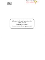 Báo cáo tài chính năm 2014 (đã kiểm toán) - Công ty Cổ phần Khoáng sản Vinas A Lưới