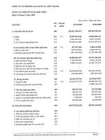 Báo cáo tài chính hợp nhất năm 2009 (đã kiểm toán) - Công ty Cổ phần Thương mại - Dịch vụ Bến Thành