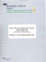 Báo cáo tài chính hợp nhất quý 2 năm 2011 (đã soát xét) - Công ty Cổ phần Nam Việt
