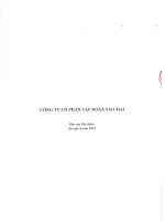Báo cáo tài chính công ty mẹ quý 4 năm 2015 - Công ty Cổ phần Tập đoàn Sao Mai